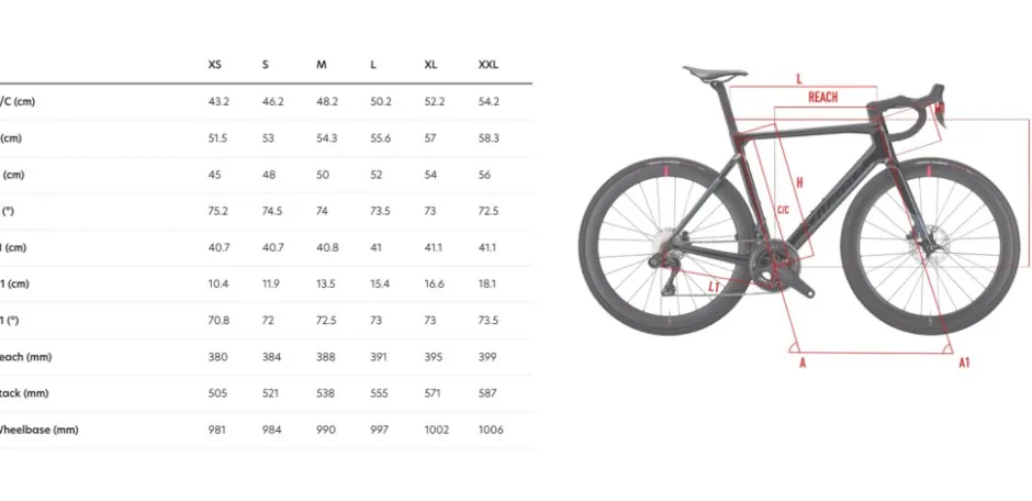 Endurance Racefietsen < Wilier FIANTE - 105 Di2 - iche 50 - Carbon racefiet - 2026 - iver back goy