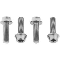 Wolf Tooth Bidonhouder Bouten - M5x15mm - zilver
