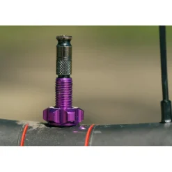 Wolf Tooth Ventielkit - Tubeless | Clik Valve (SCV) - oil slick
