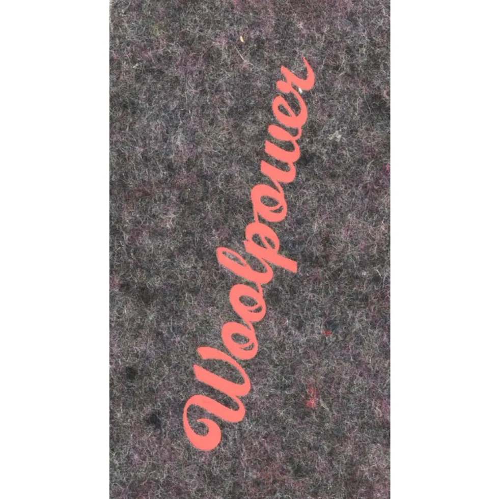 Woolpower Felt Inlegzolen - grijs