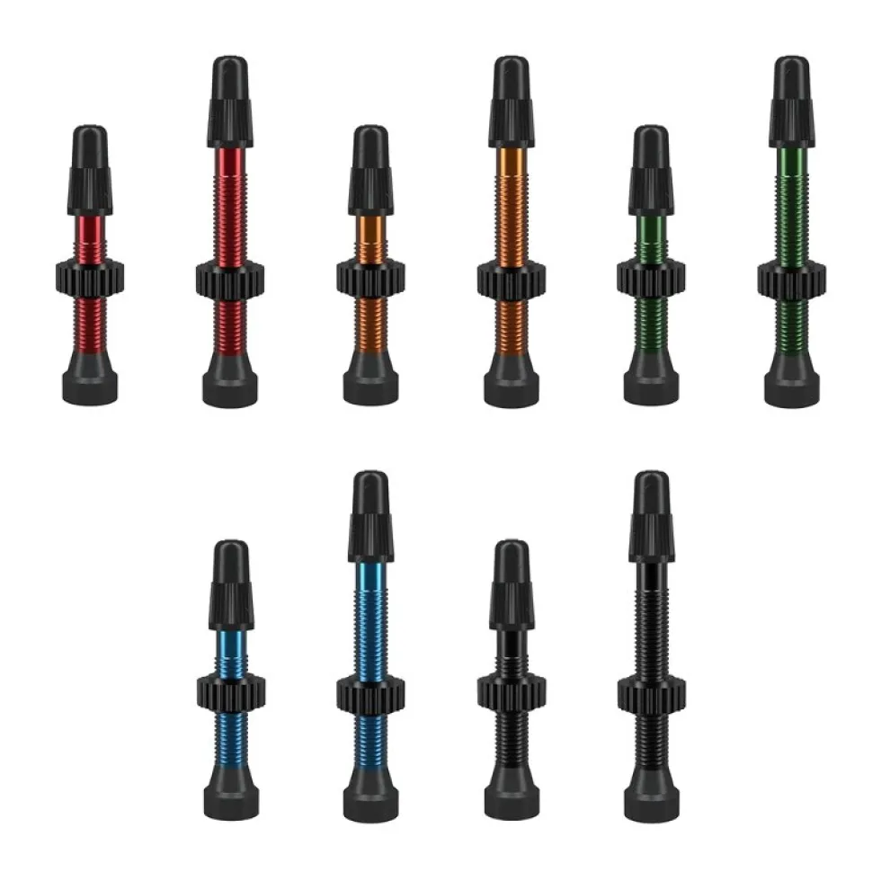 WTB TCS Aluminum Presta Tubeless Valves (2 pce.)